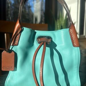 Women's Turquoise and Brown Leather Bag